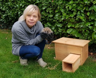 Hedgehog huts to house rescued hedgehogs.