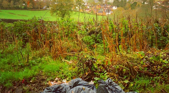 East Devon Cabinet approves introduction of new fixed penalty fine for fly tipping