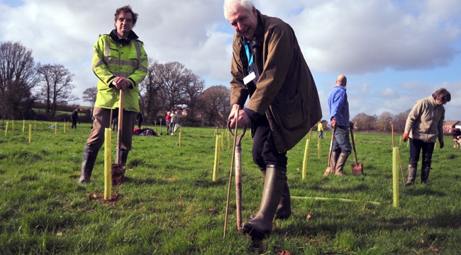 Councillors Faithful and Jung planting trees in Cranbrook