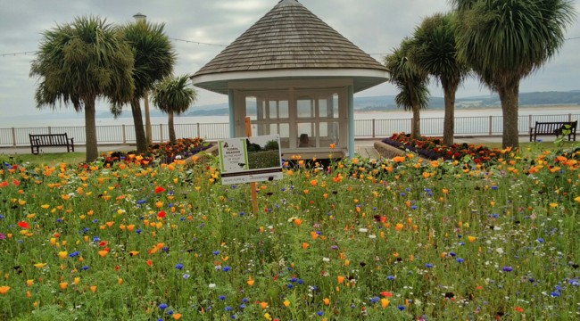 Beach Gardens, Exmouth