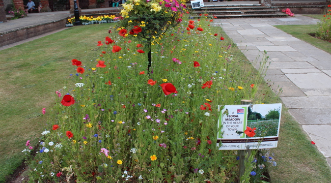 Connaught Gardens, Sidmouth