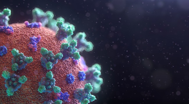 Coronavirus infection 
