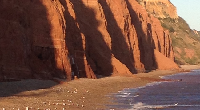 The red cliffs to the East of Sidmouth