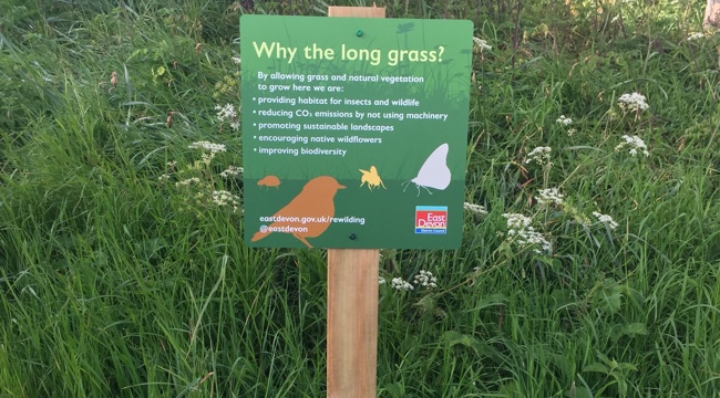 Sign placed in East Devon areas where grass is left to grow.