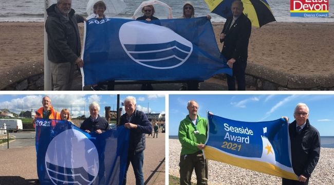 Blue flag pictures 