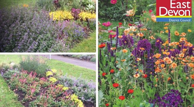Left - the new perennial planting at Manor Gardens in Exmouth. Right – EDDC’s inspiration from a show garden.