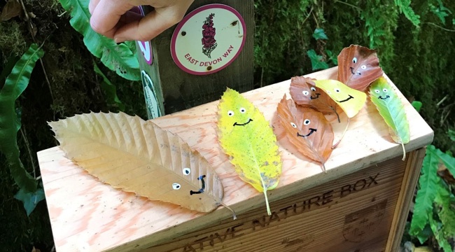 leaves with smiley faces drawn on them on top of wooden box above is an arm with leaf bracelet