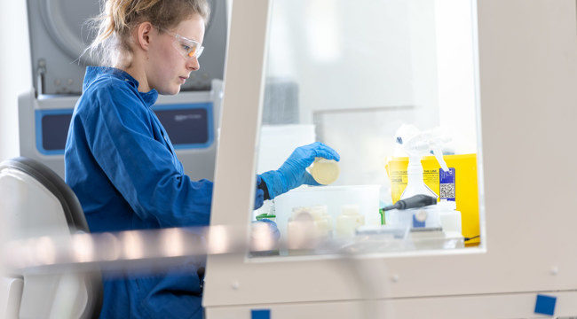 Person testing in a laboratory