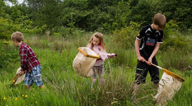 Children enjoy a summer bug hunt in East Devon