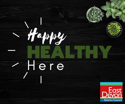Happy, Healthy, Here logo