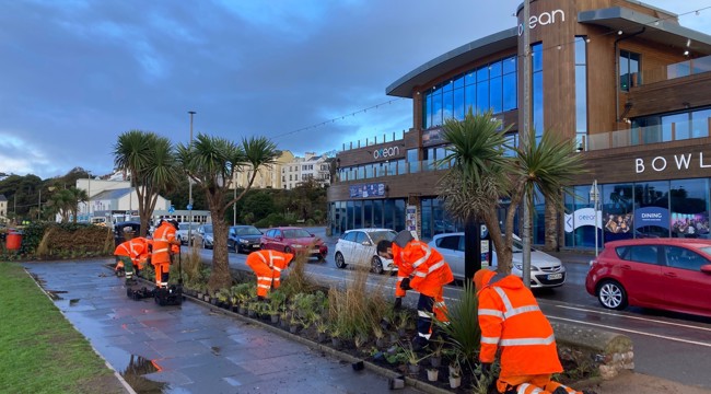 EDDC StreetScene planting bulbs 