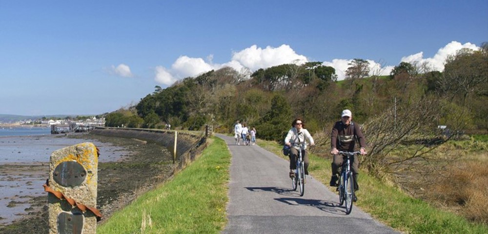 Photograph of Topsham cycle path with two cyclists and a family walking in the background