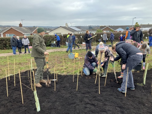 Exmouth's second tiny forest planted January 2025