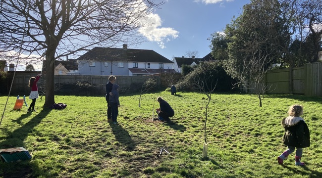 Moormead Orchard, East Devon