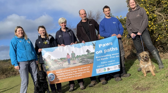 New signs to ask dogs to keep paws on paths on East Devon Pebblebed Heaths