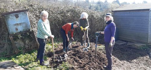 The Eager Beavers digging up the soil for the community garden.