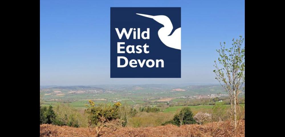 Wild East Devon - Information on Wild East Devon including upcoming events.