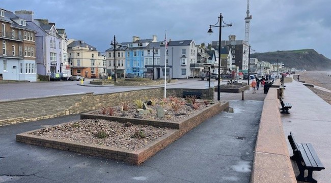 Photo of East Devon District Council flowerbeds by Seaton's seafront. To the left is a roundabout and buildings. To the right are the cliffs in the background and the beach in front 