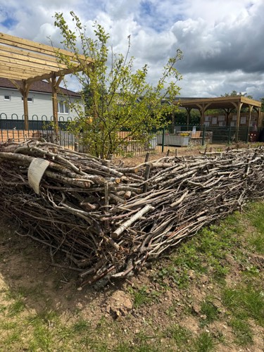 ChardstockHarmonyGardenDeadwoodHedge