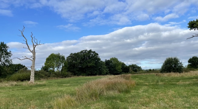 new green space at Station Road, Broadclyst