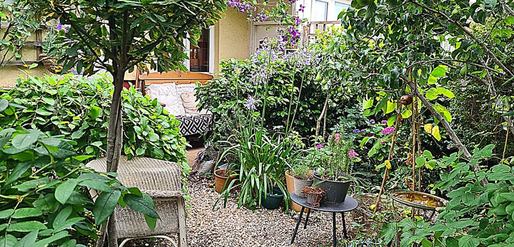 A small garden with fruit trees and flowers growing either side of a gravel path, leading to the door.