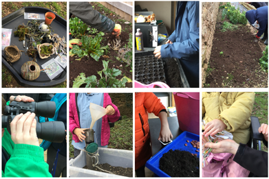Outdoor learning project.