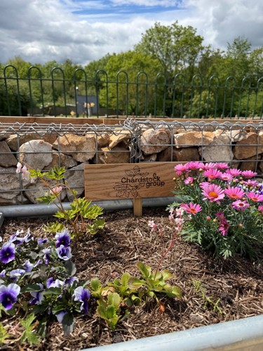 ChardstockHarmonyGarden