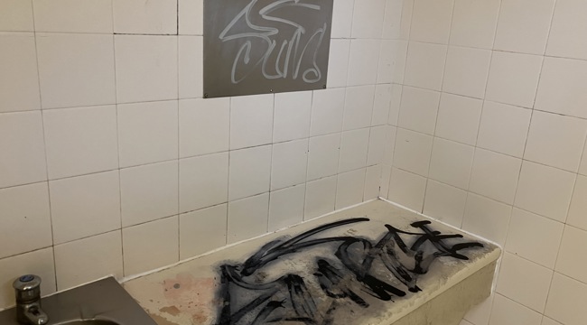 Vandals responsible for 'senseless' graffiti slammed