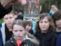 Children of Chardstock Primary took part in Fish Eggs in the Classroom