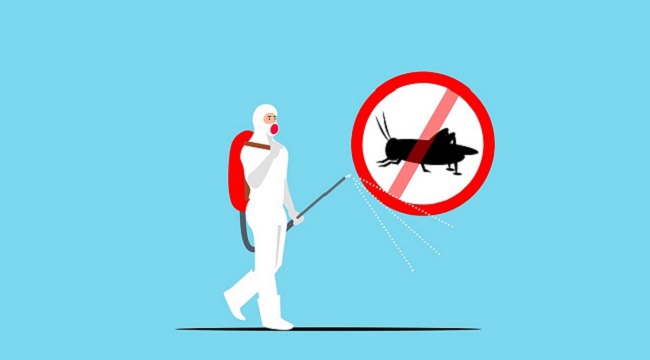 Illustration of a pest control operative