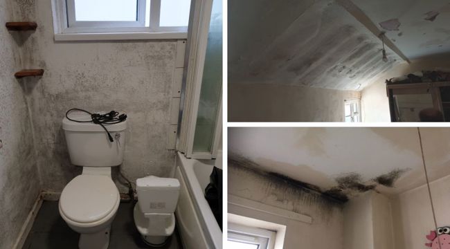 Damp and mould in Exmouth privately rented home 