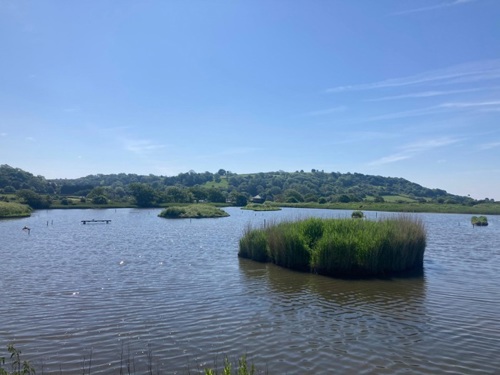 WorldWetlandsDay