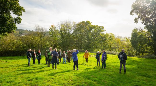 Photo of a group of people in a field surrounded by trees