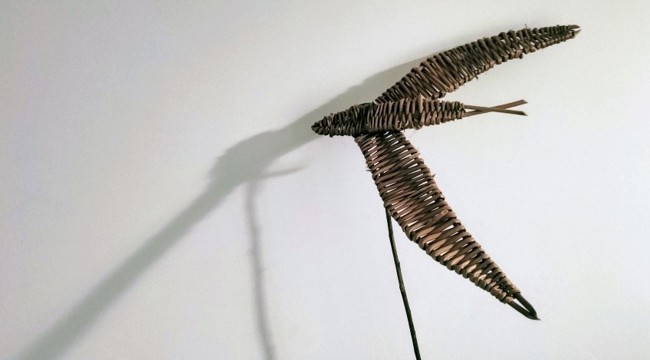 Seaton Wetlands Announces Exciting New Partnership with Earth Rights Collective to Deliver Willow Workshops
